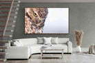 Pixalot ® Burrowing Owl