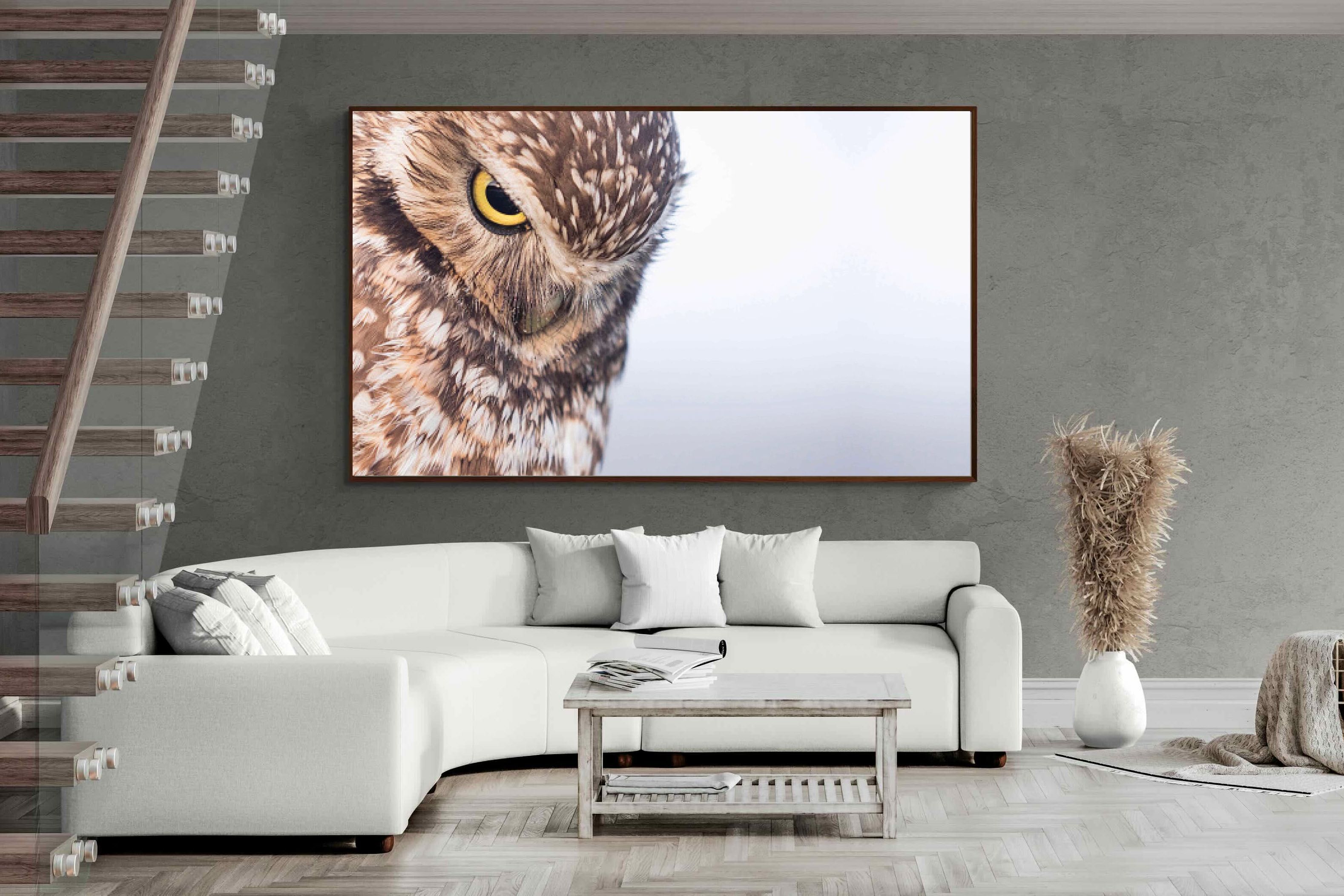 Pixalot ® Burrowing Owl