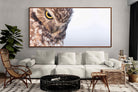 Pixalot ® Burrowing Owl