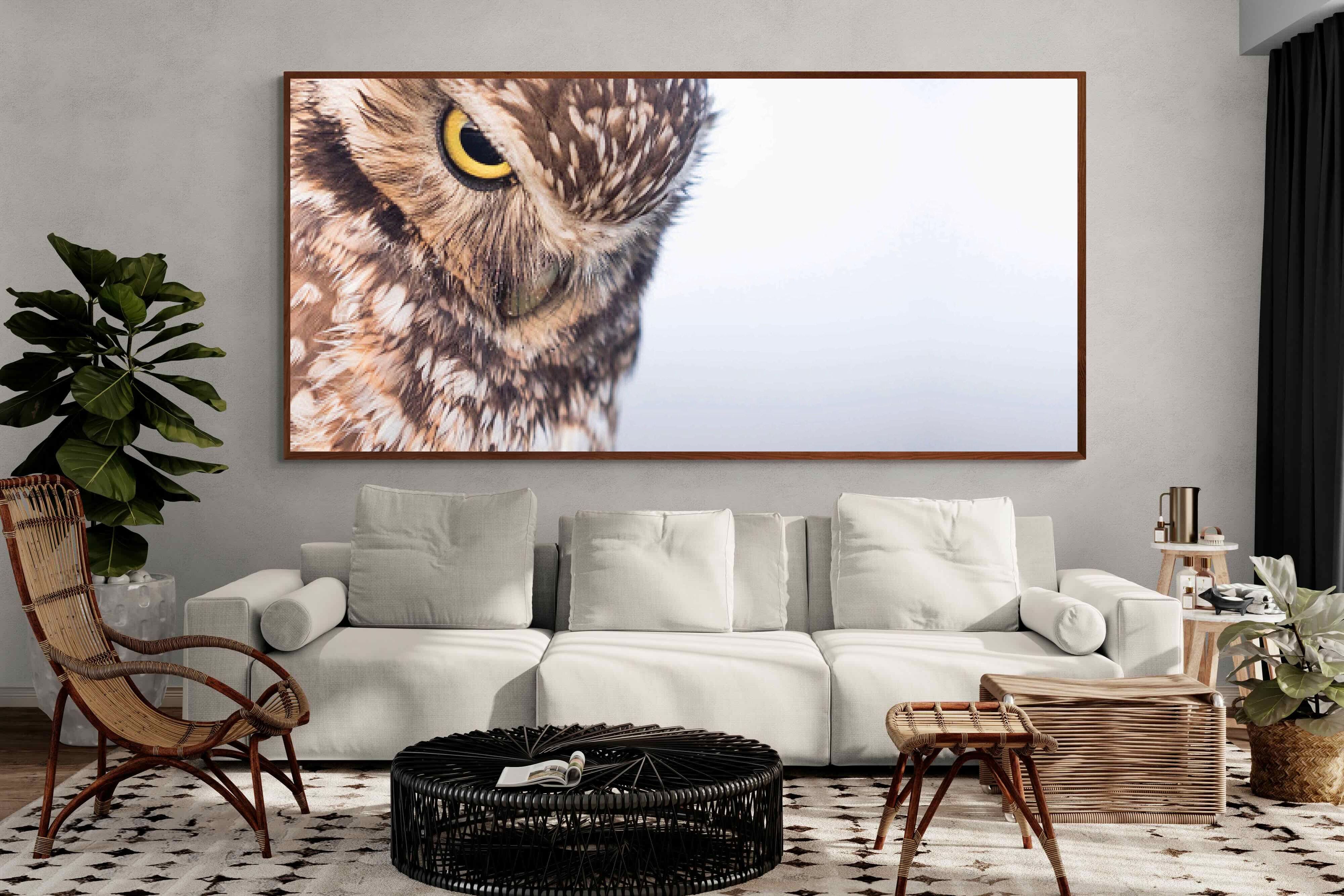 Pixalot ® Burrowing Owl