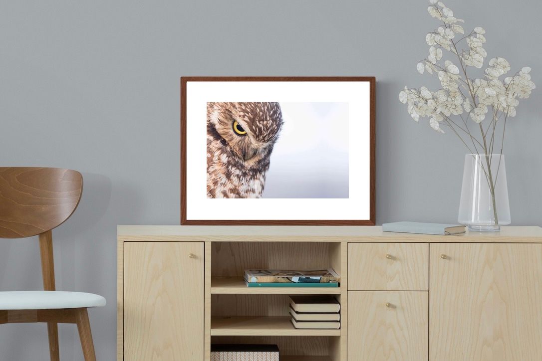 Pixalot ® Burrowing Owl