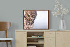 Pixalot ® Burrowing Owl