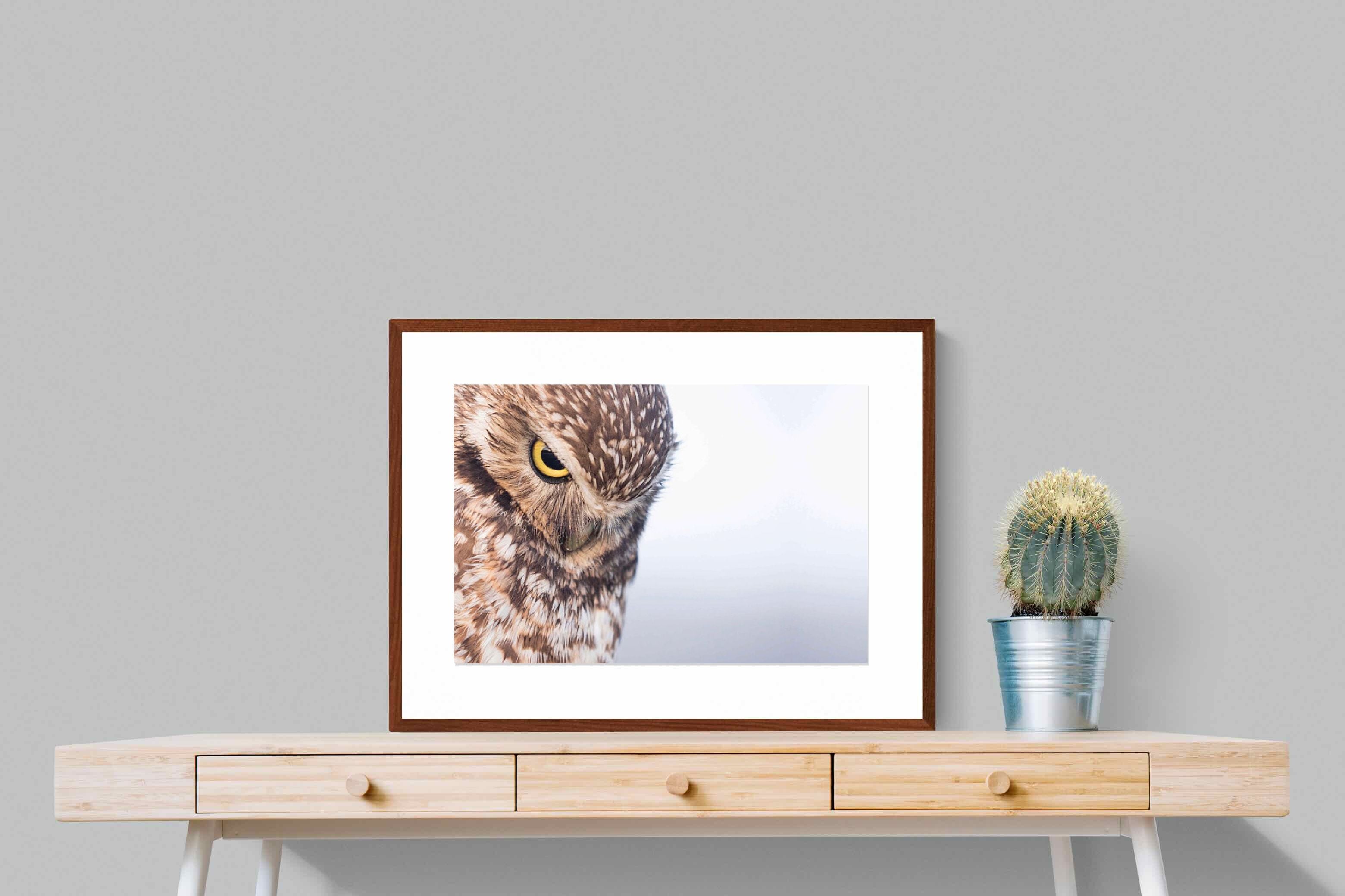 Pixalot ® Burrowing Owl