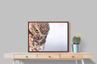 Pixalot ® Burrowing Owl