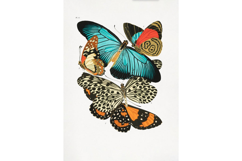 Butterfly Collage #1-Wall_Art-Pixalot