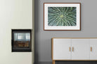 Pixalot ® Cactus