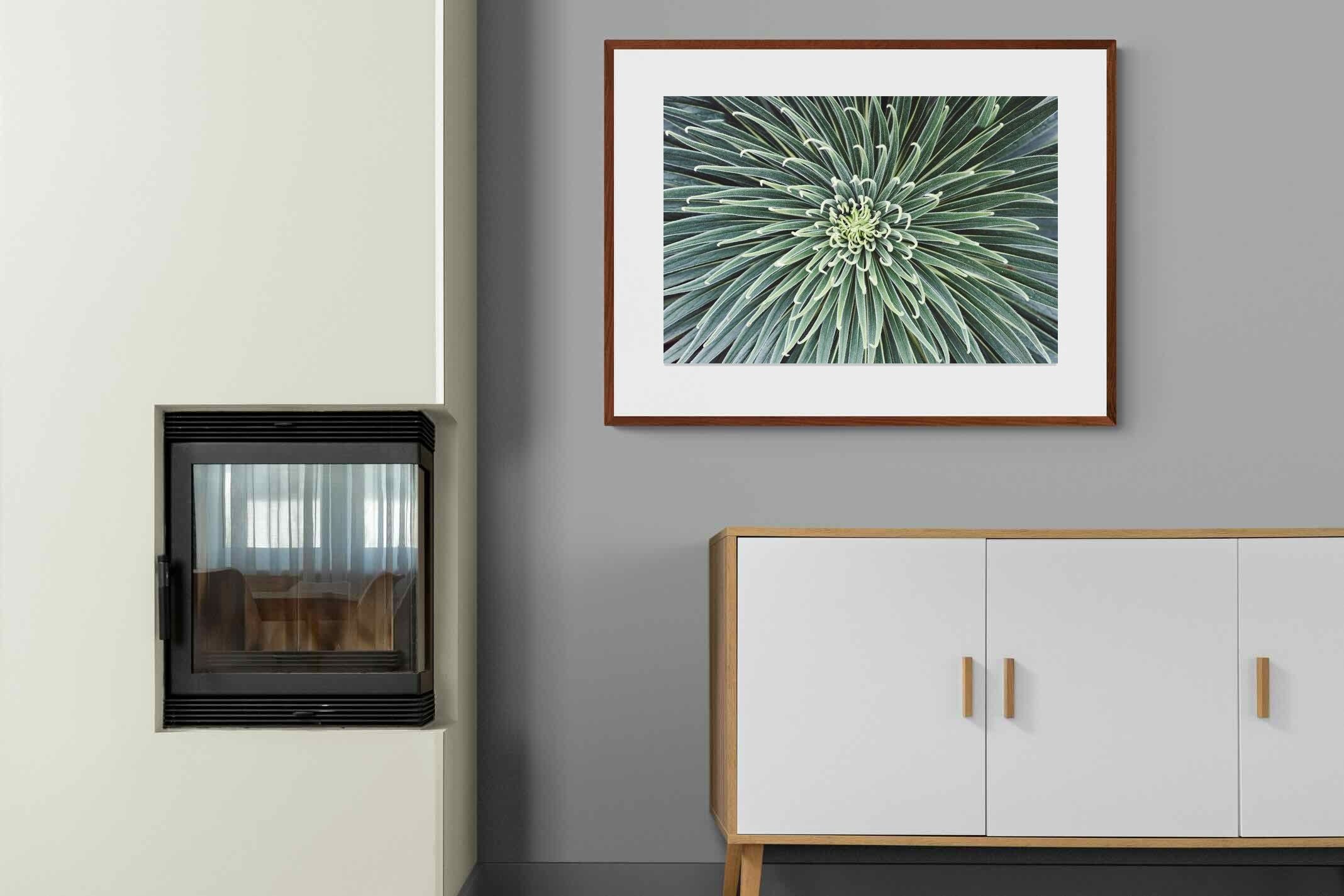 Pixalot ® Cactus