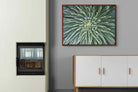 Pixalot ® Cactus