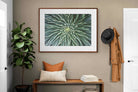 Pixalot ® Cactus
