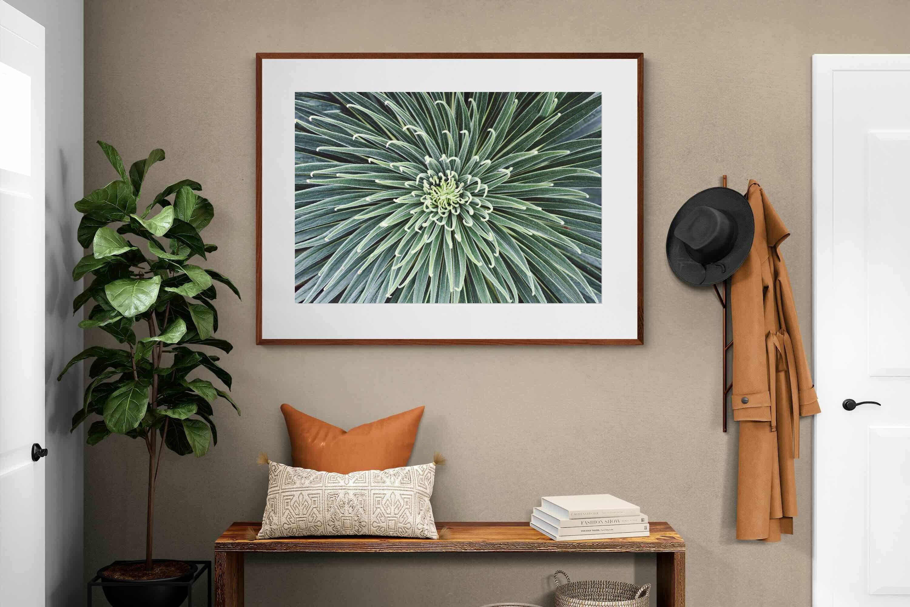 Pixalot ® Cactus