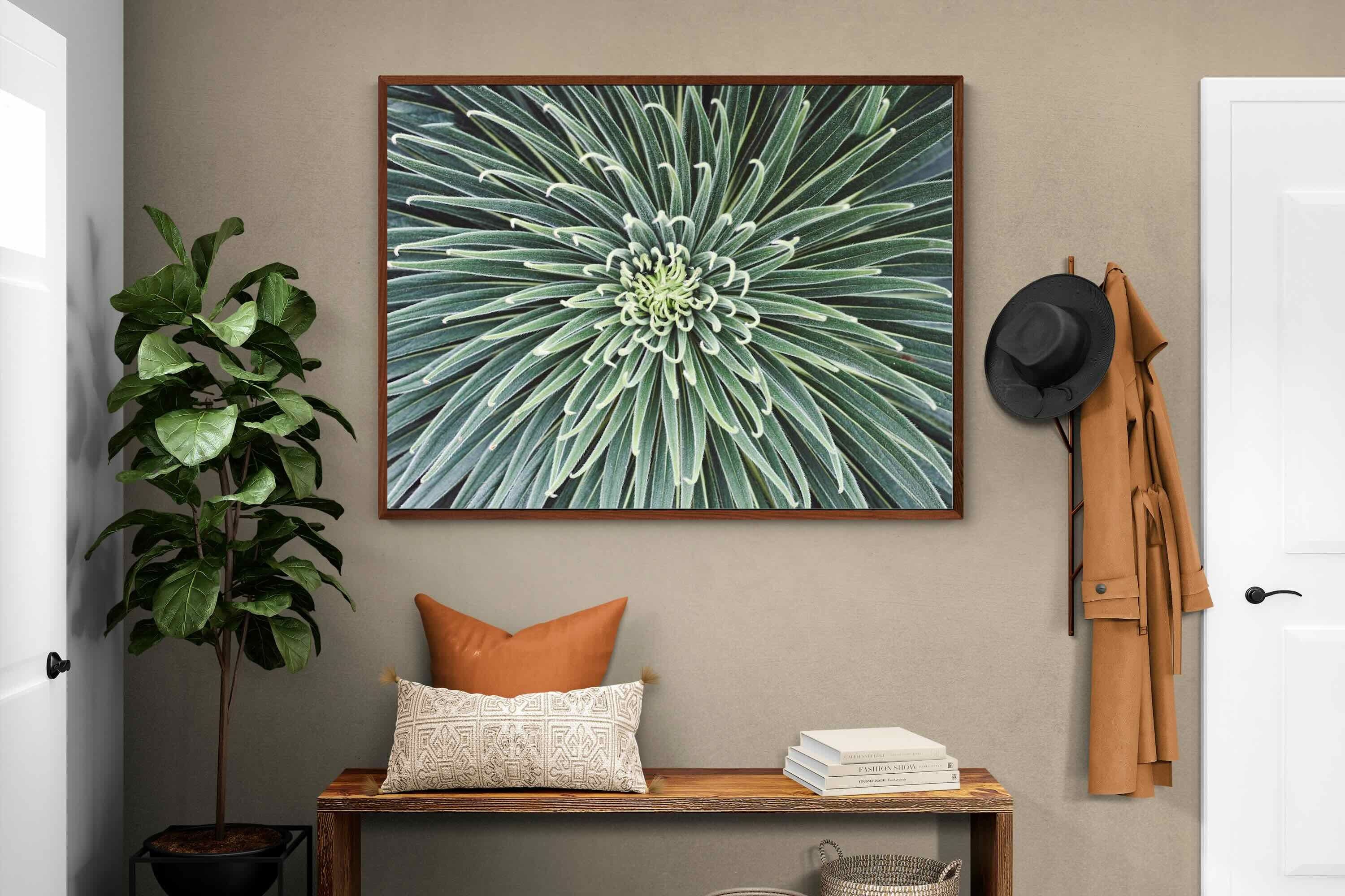 Pixalot ® Cactus