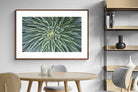 Pixalot ® Cactus