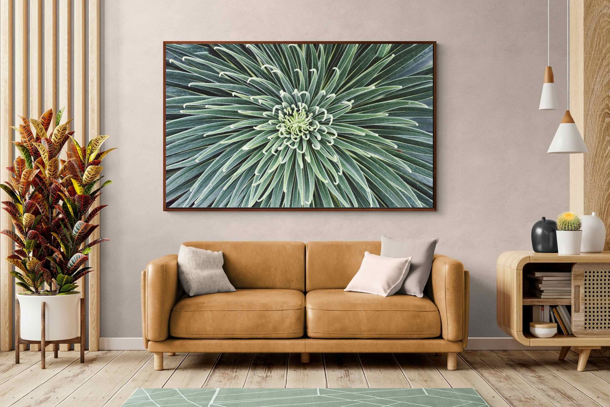 Pixalot ® Cactus