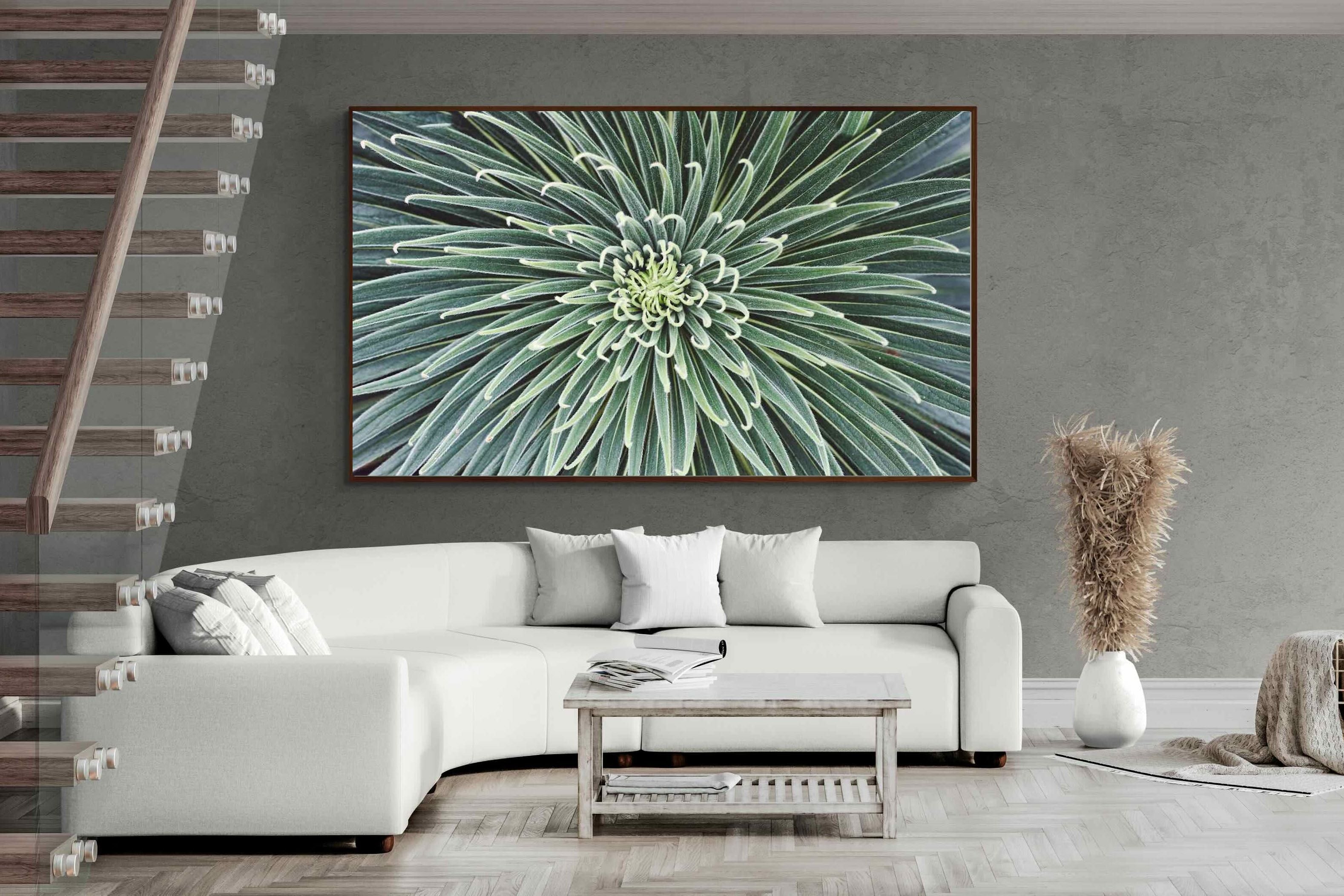 Pixalot ® Cactus