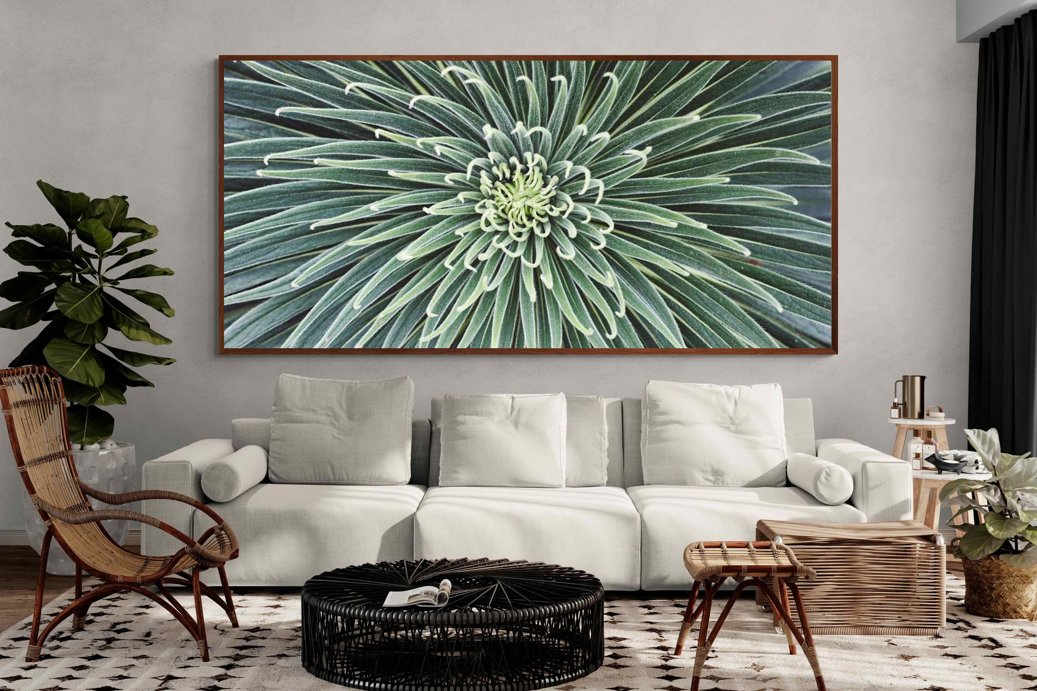 Pixalot ® Cactus