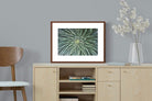 Pixalot ® Cactus