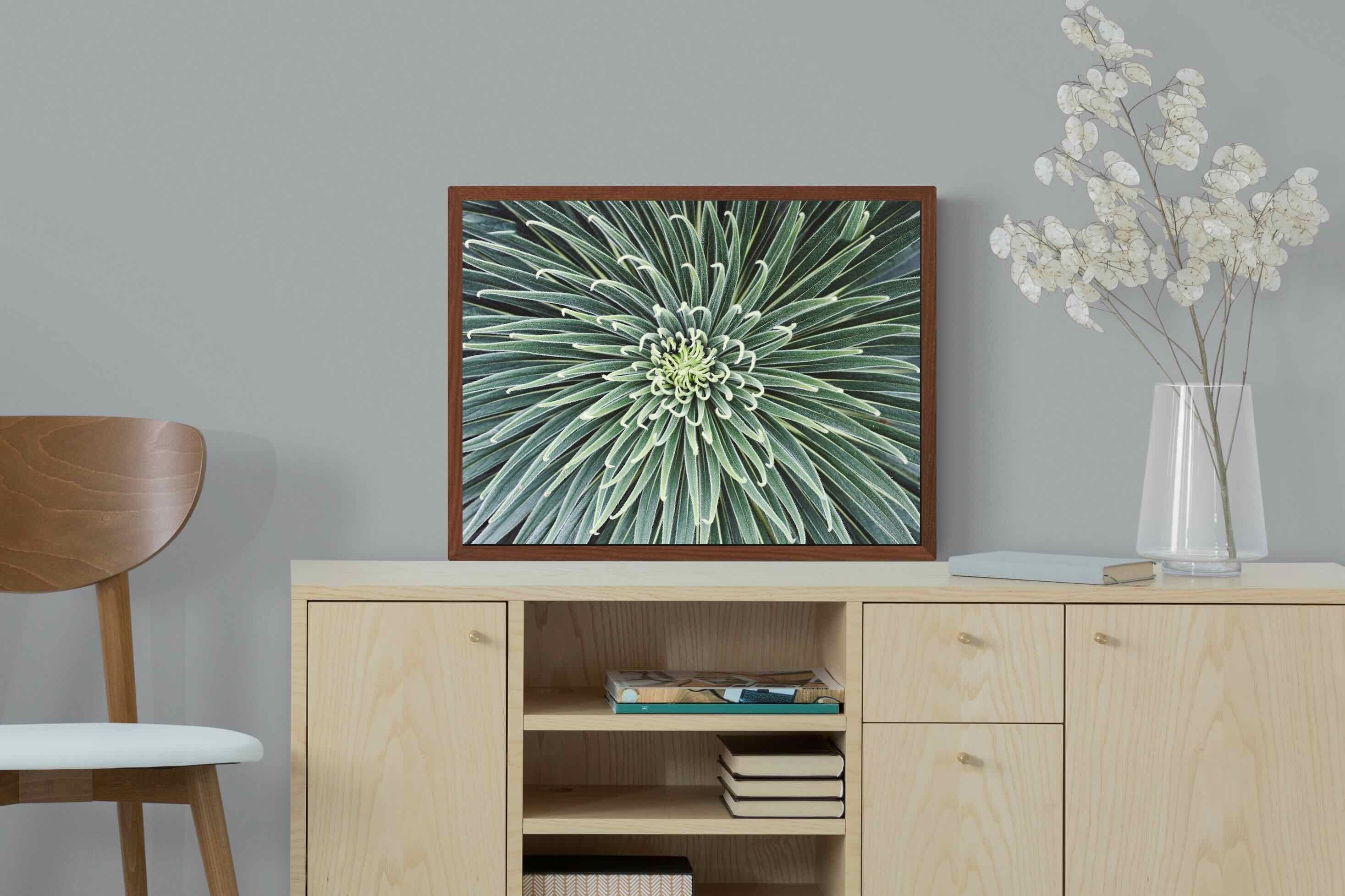 Pixalot ® Cactus