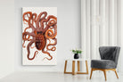 Pixalot Callistoctopus Macropus