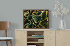 Pixalot ® Canadale Gold