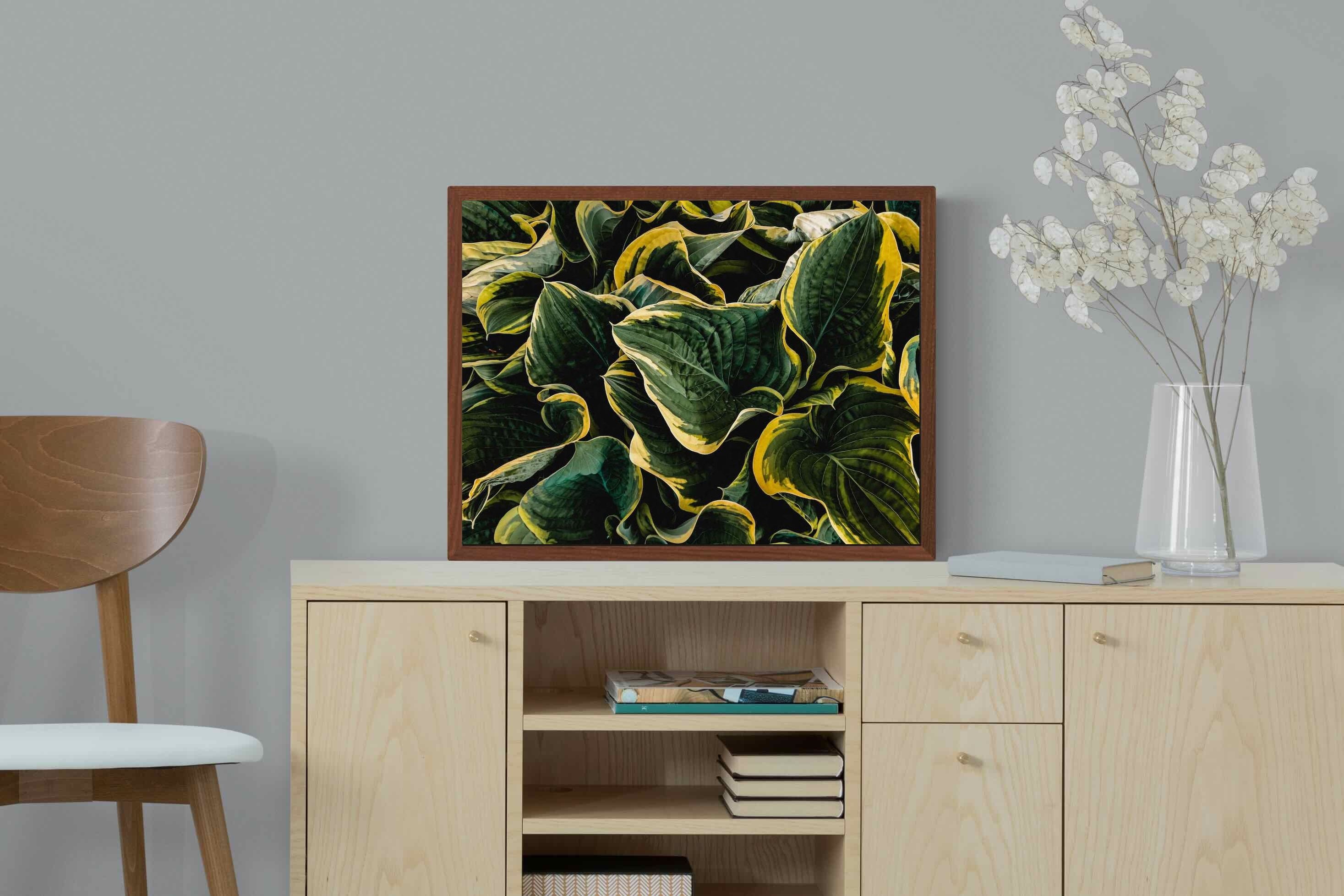 Pixalot ® Canadale Gold