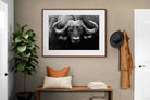 Pixalot ® Cape Buffalo