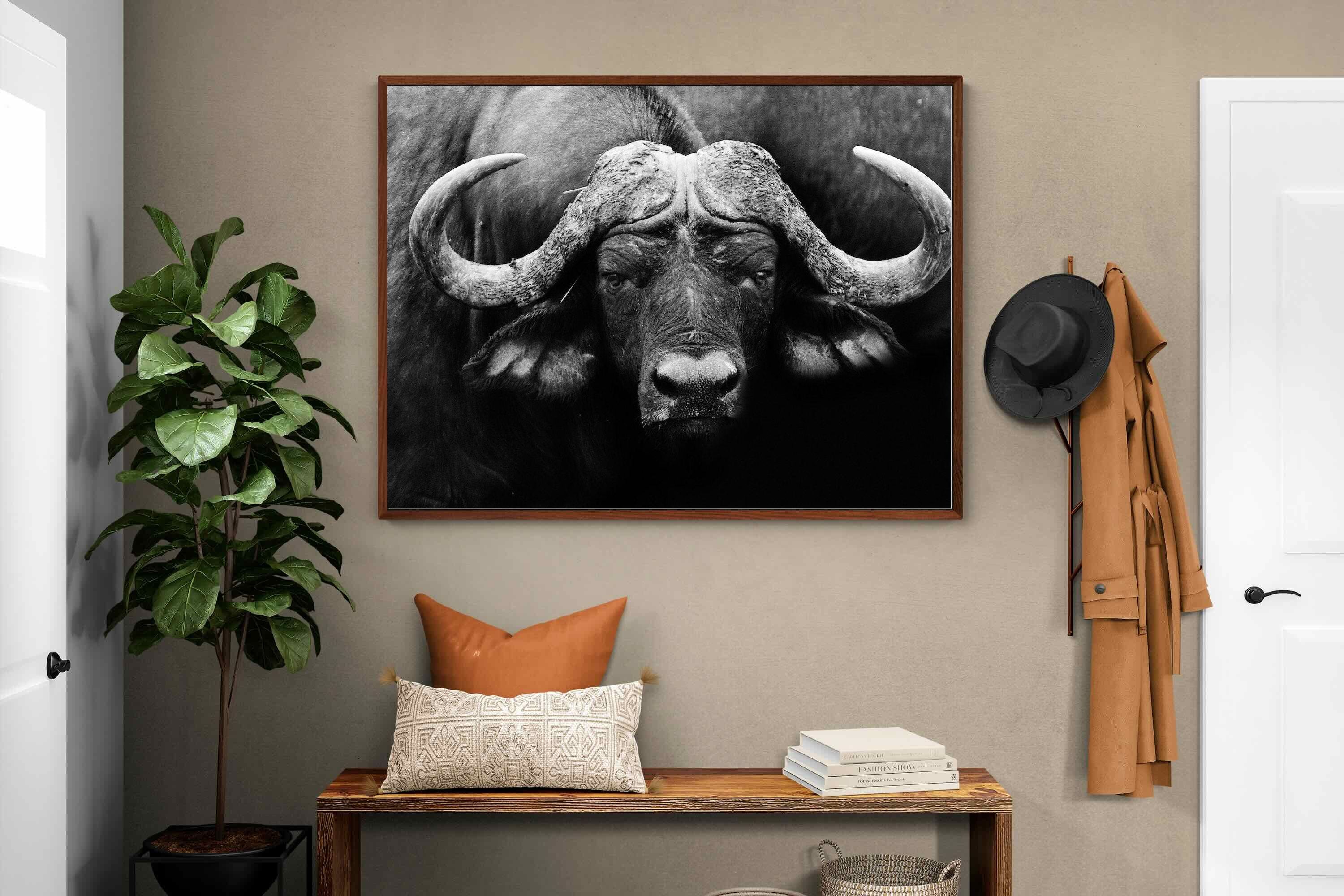 Pixalot ® Cape Buffalo