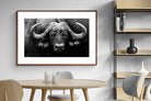 Pixalot ® Cape Buffalo
