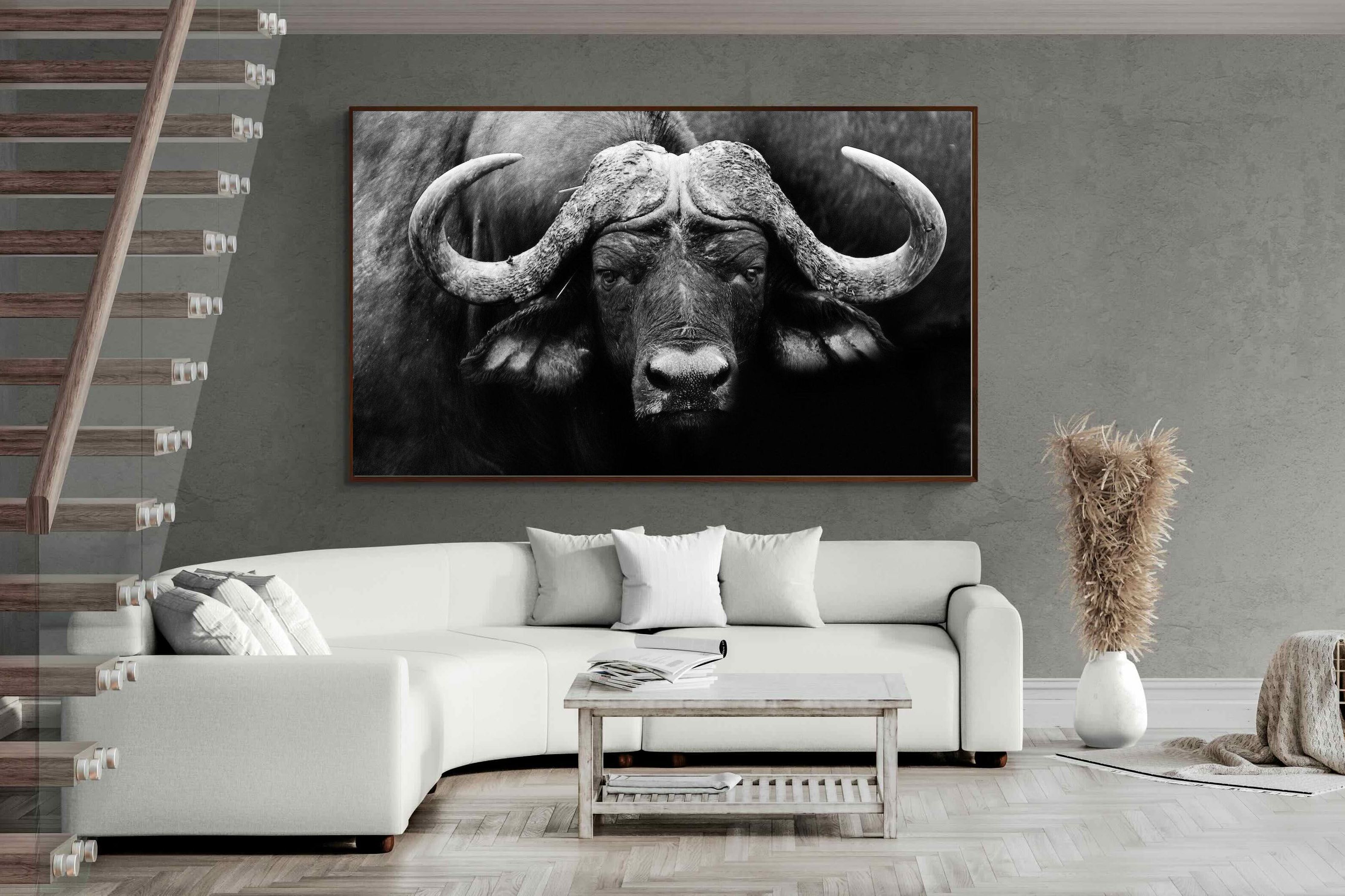 Pixalot ® Cape Buffalo