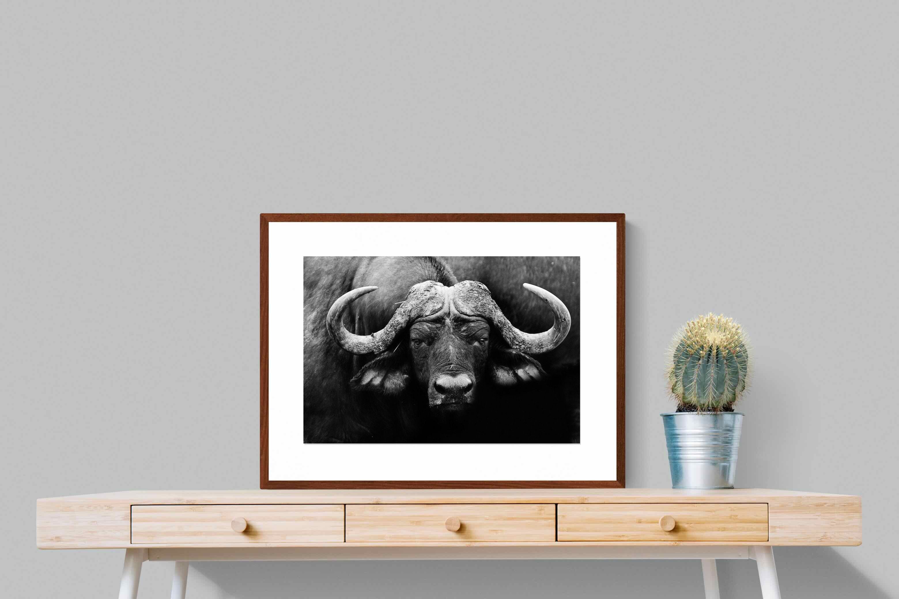 Pixalot ® Cape Buffalo