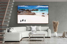 Pixalot ® Cape Penguins