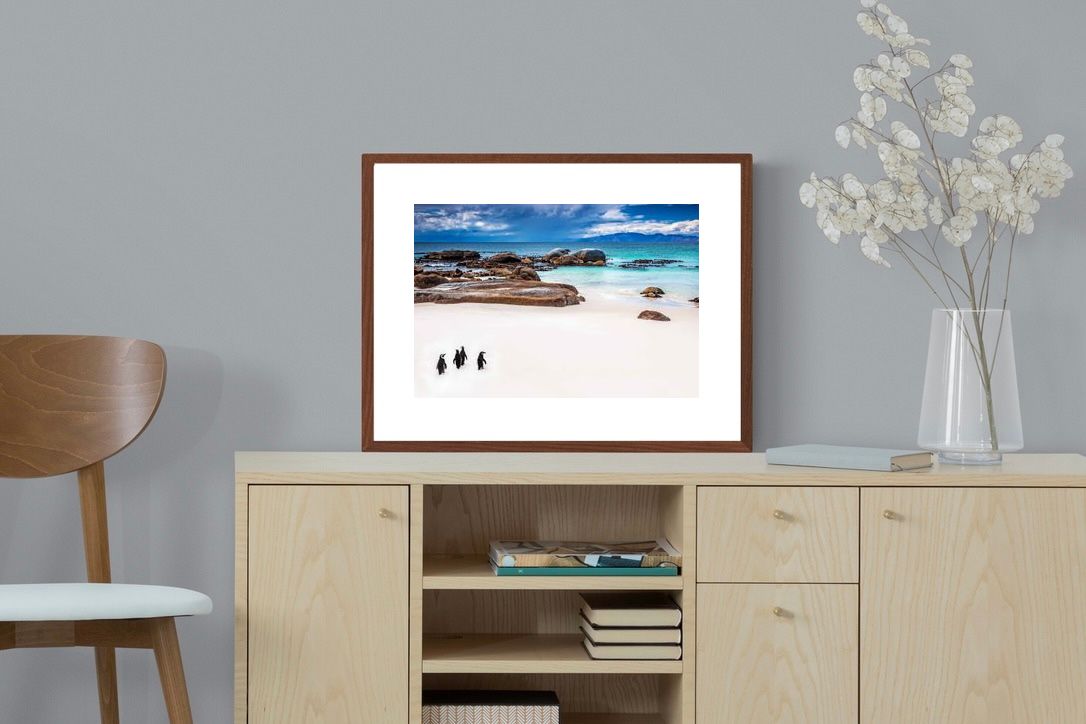 Pixalot ® Cape Penguins