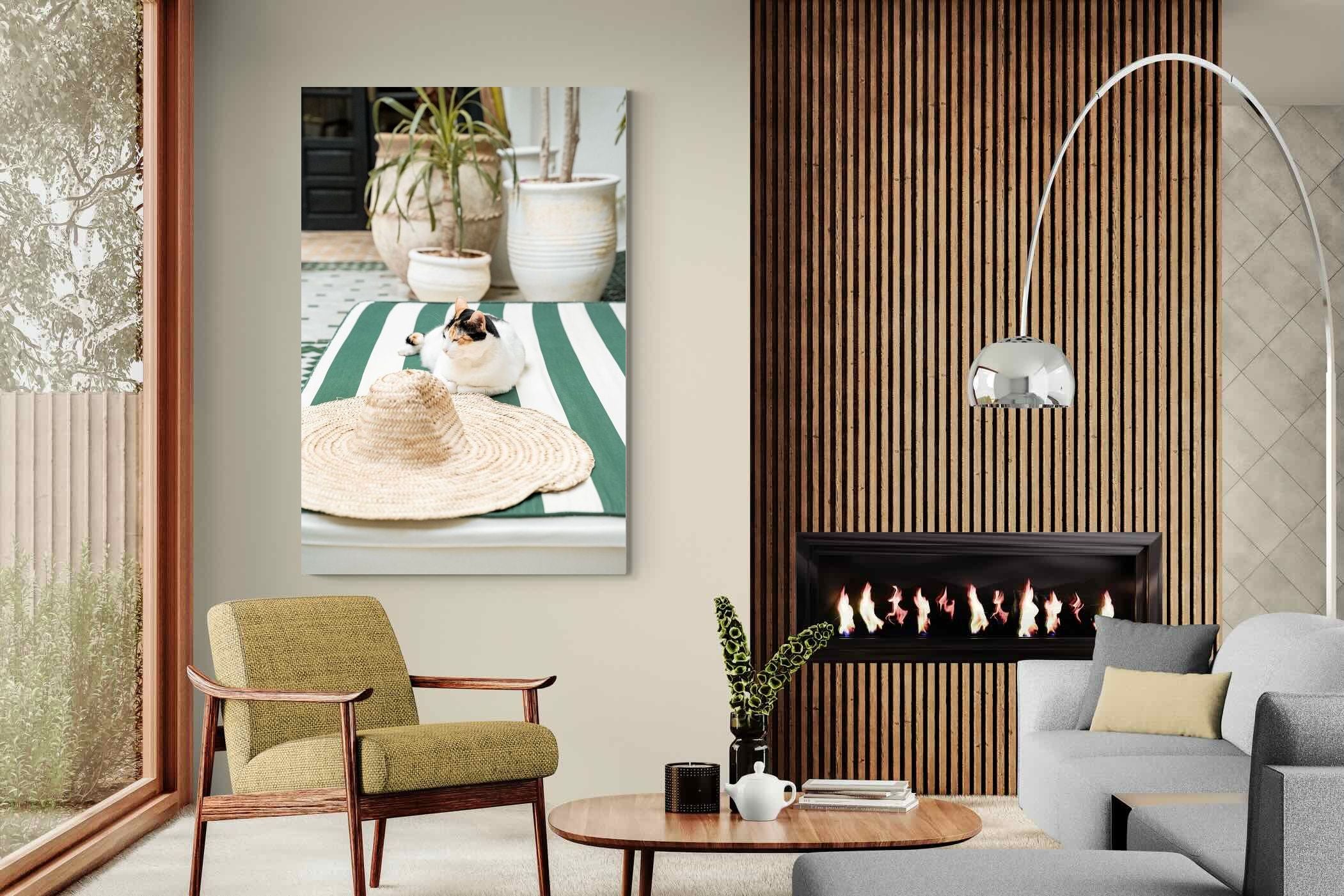 Pixalot Cat In Marrakech