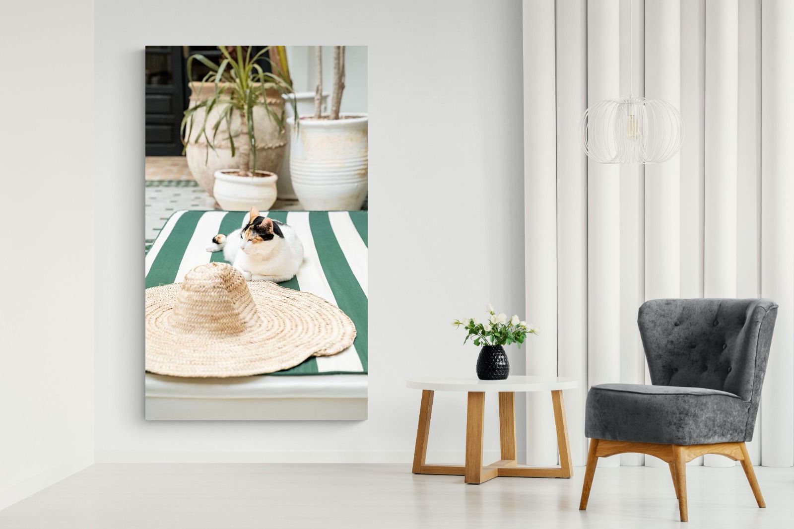 Pixalot Cat In Marrakech