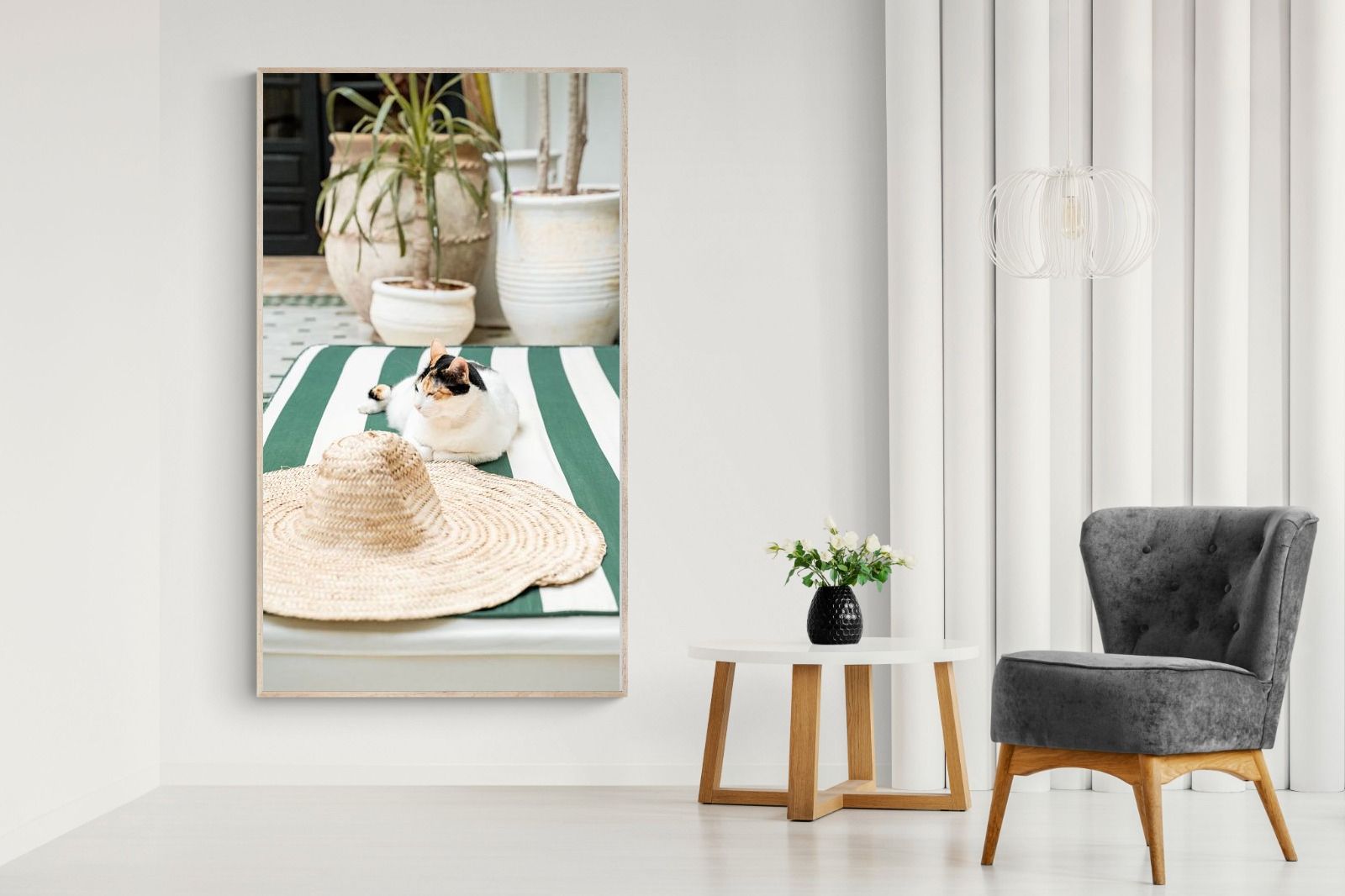 Pixalot Cat In Marrakech