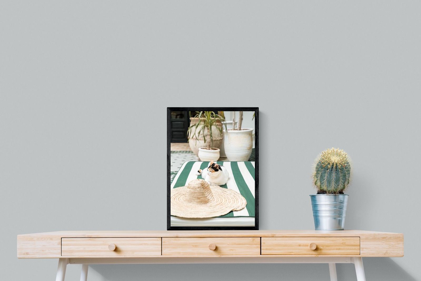 Pixalot Cat In Marrakech