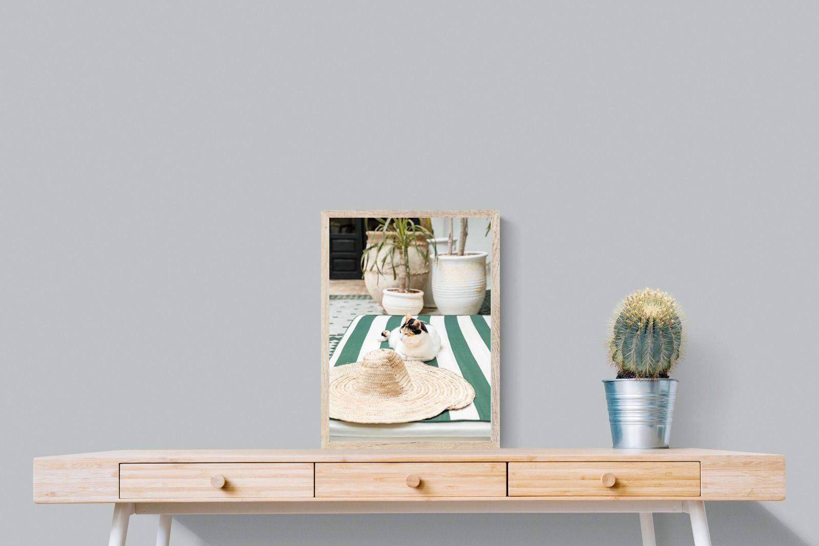 Pixalot Cat In Marrakech