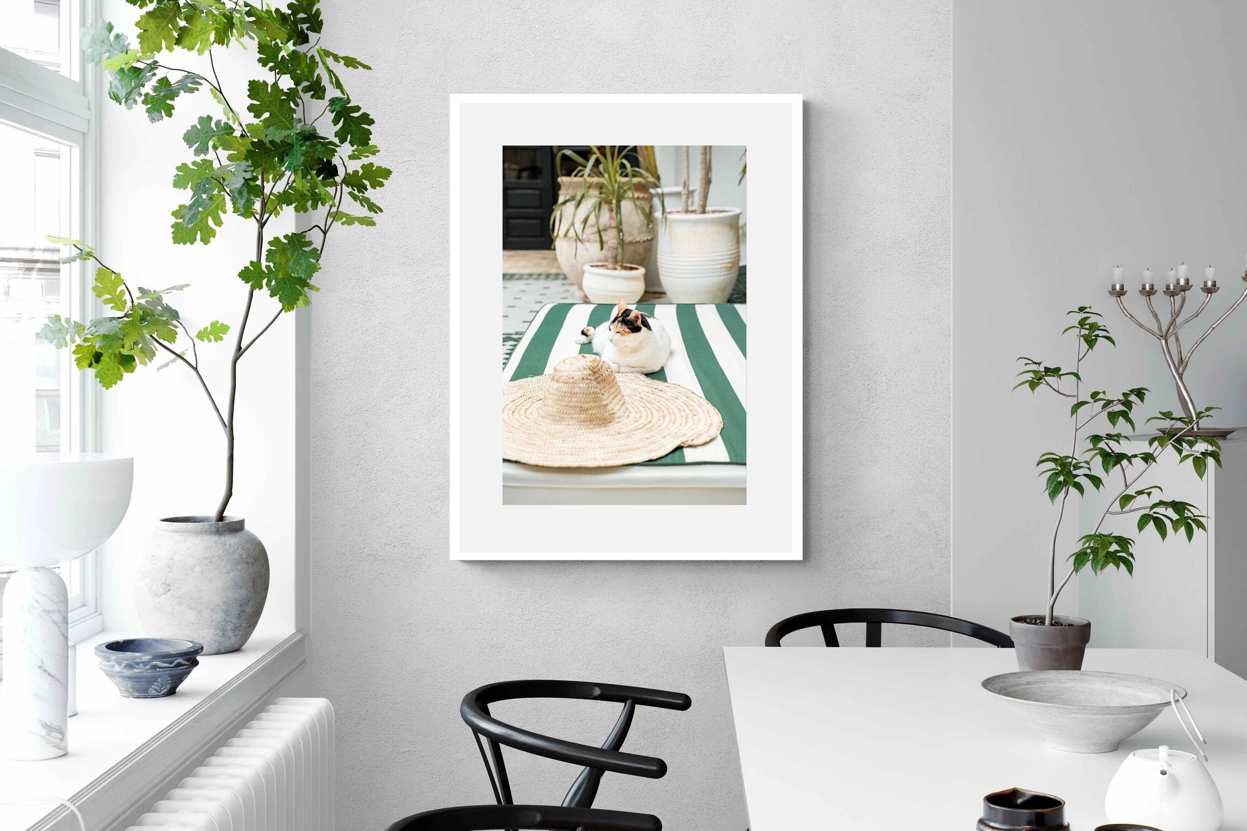 Pixalot Cat In Marrakech