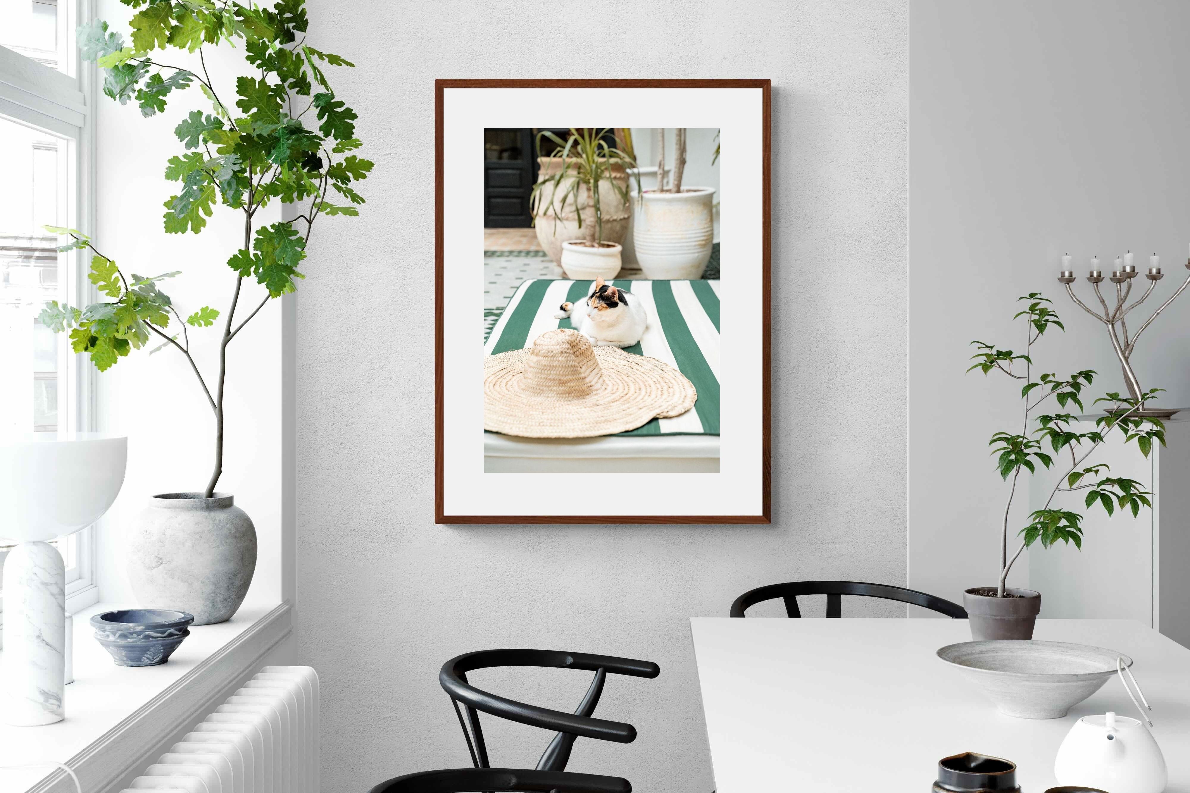 Pixalot Cat In Marrakech