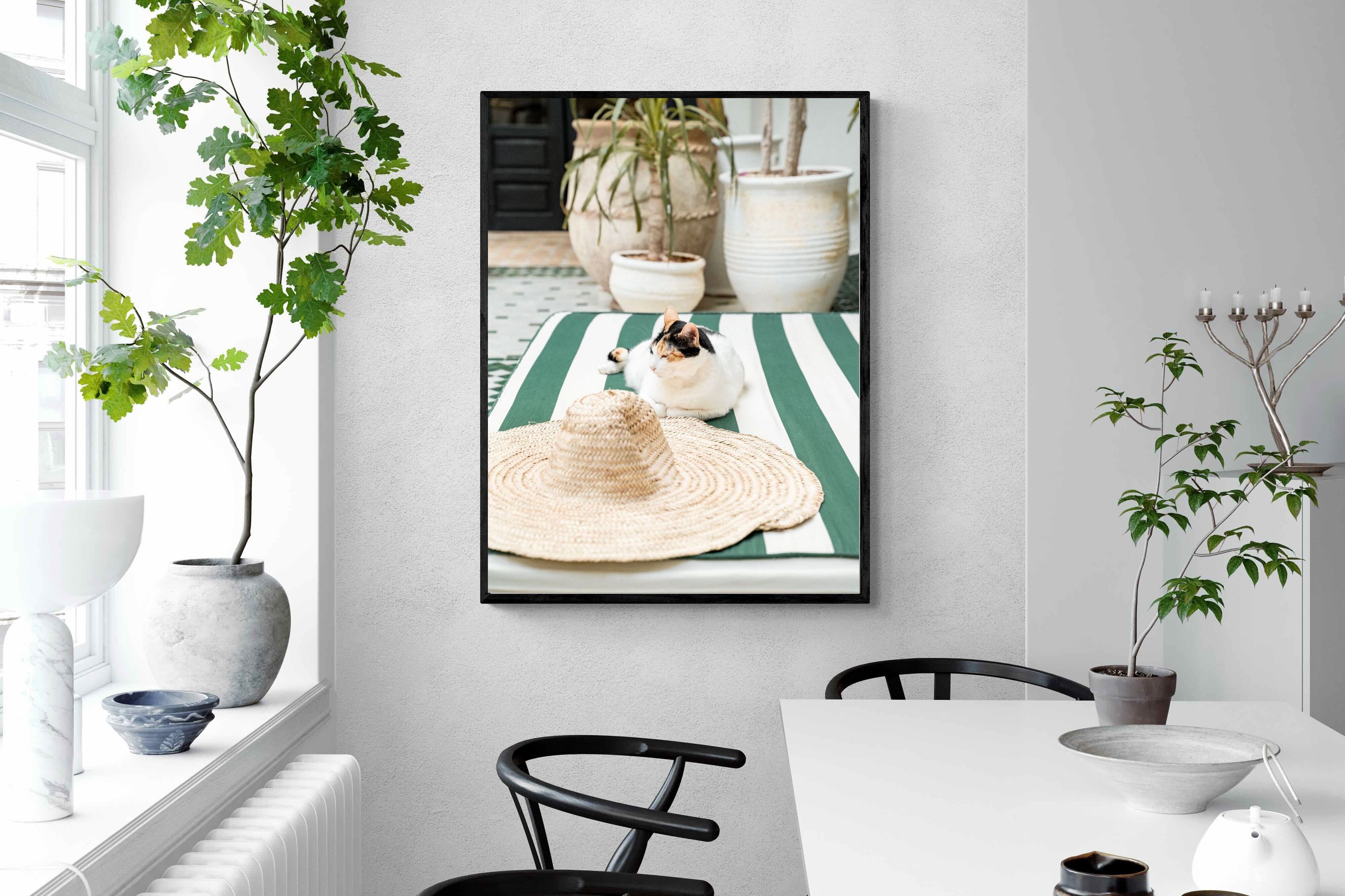 Pixalot Cat In Marrakech