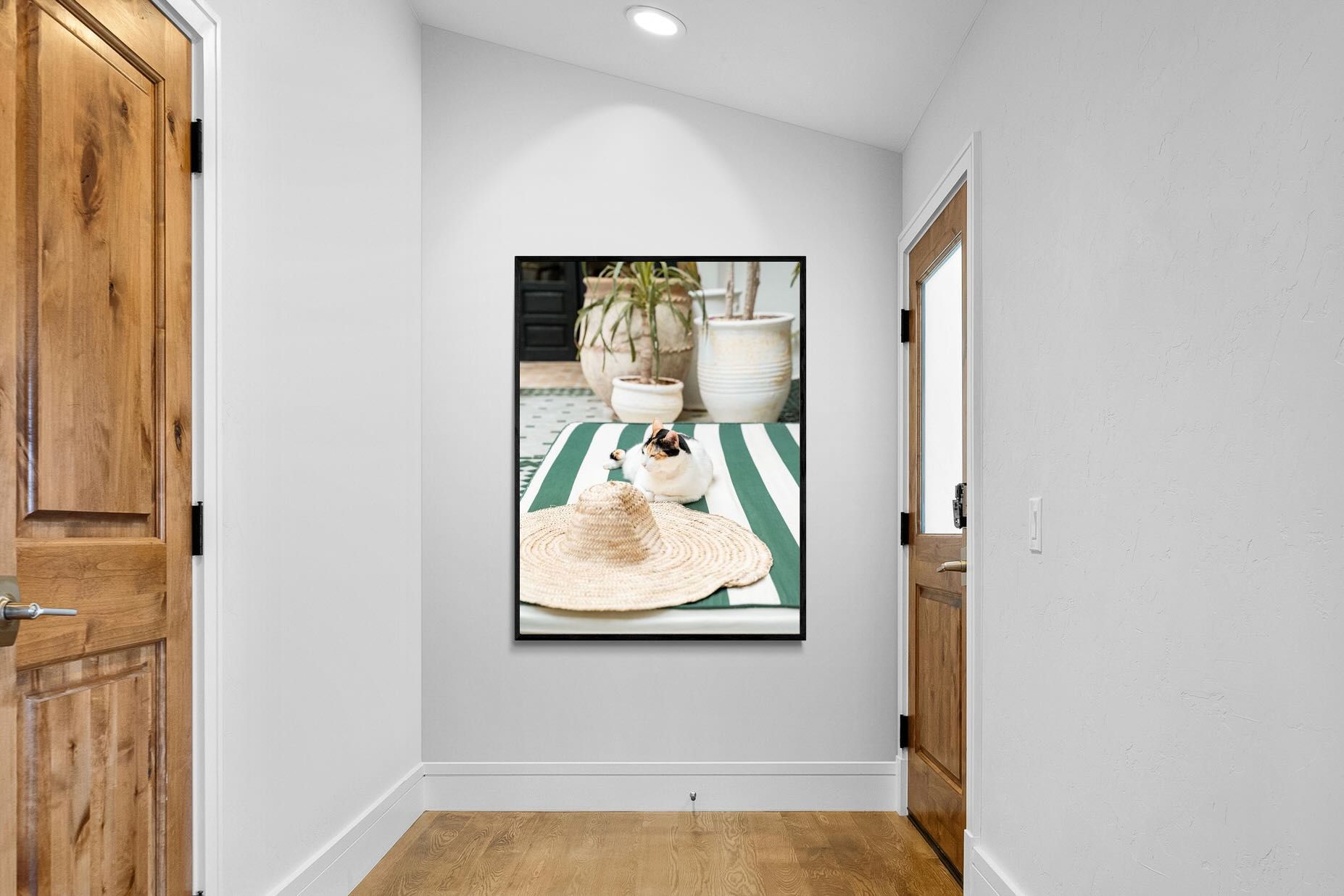 Pixalot Cat In Marrakech