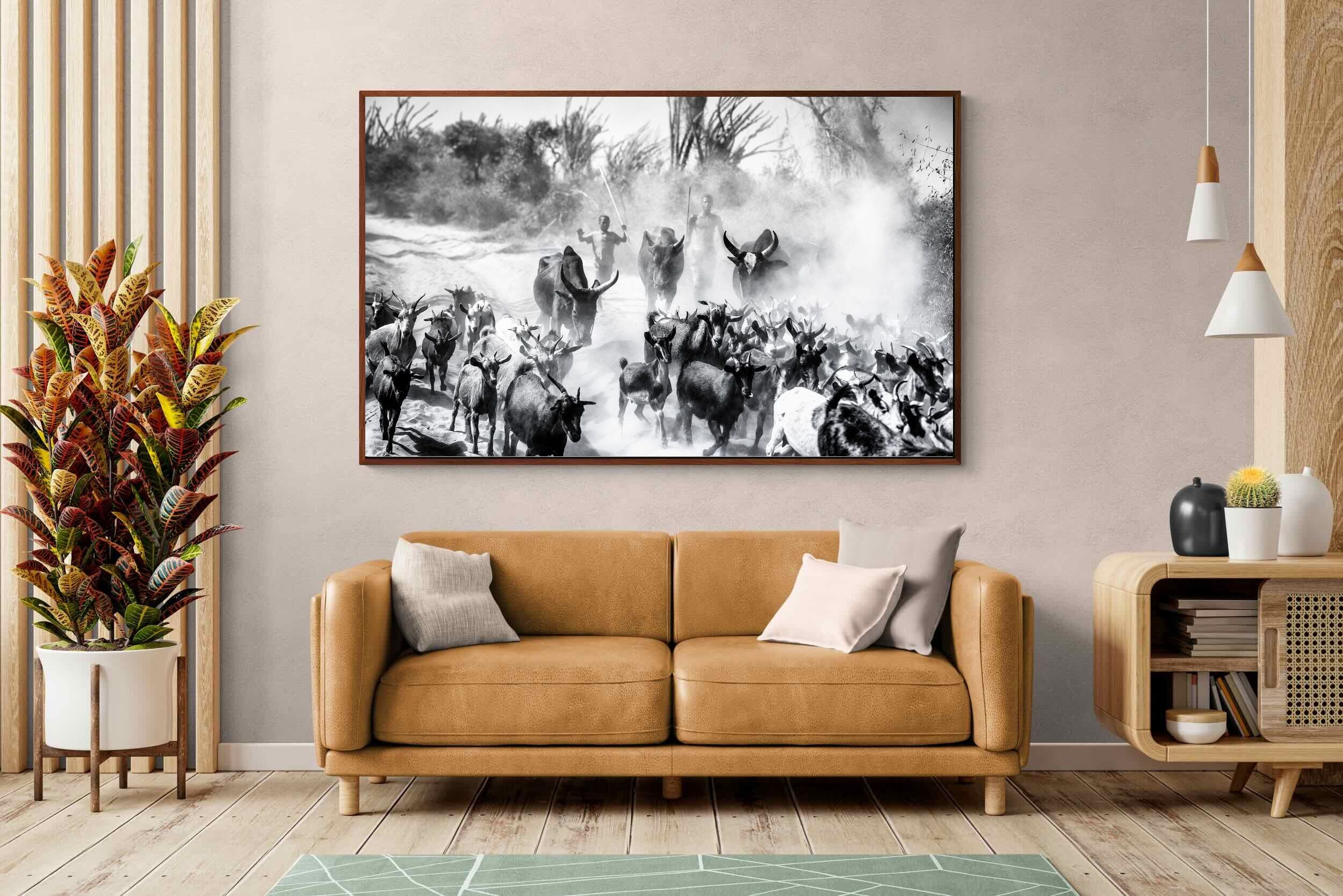 Pixalot ® Cattle Shepherd