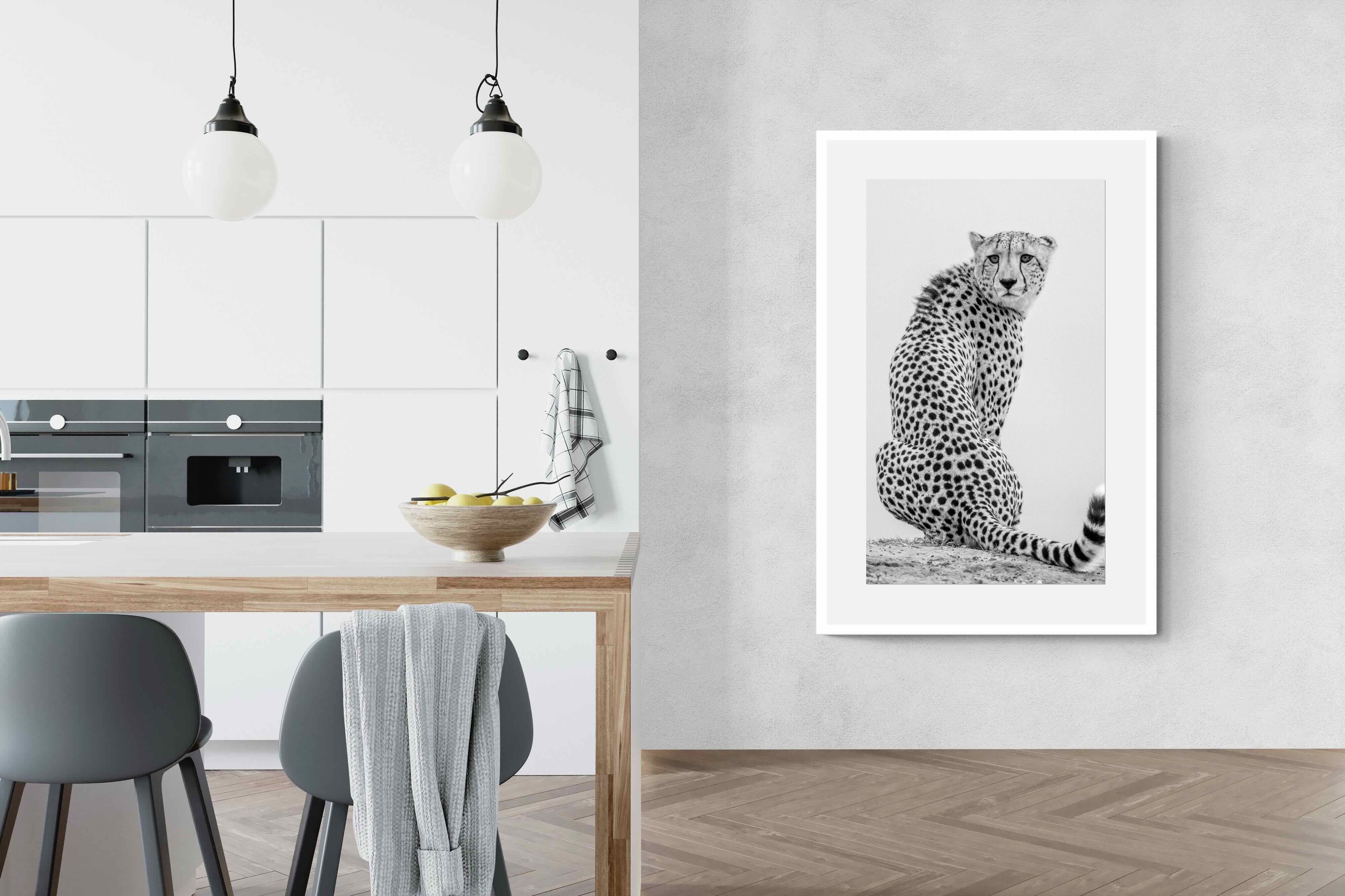 Pixalot Cheetah Glance