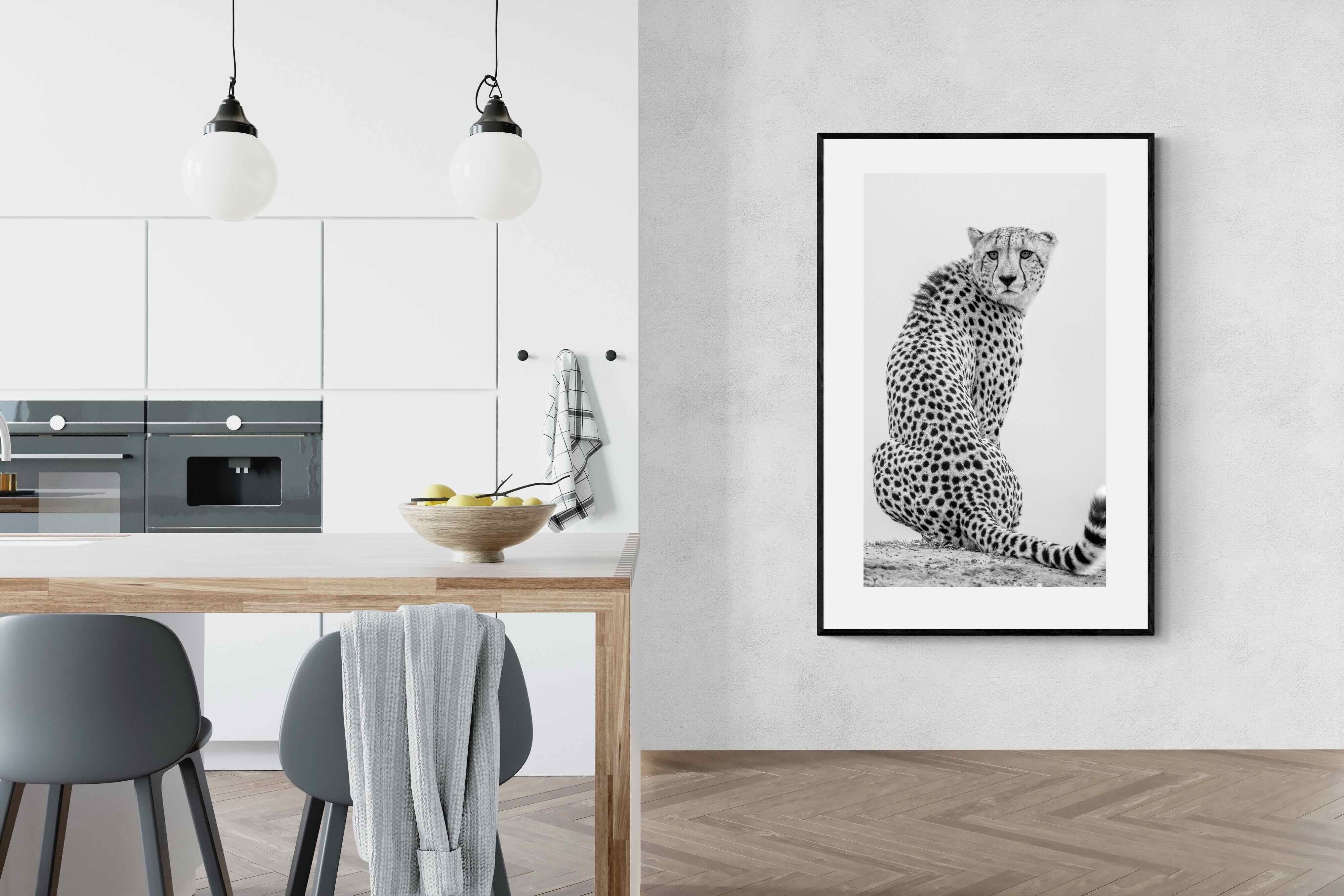 Pixalot Cheetah Glance