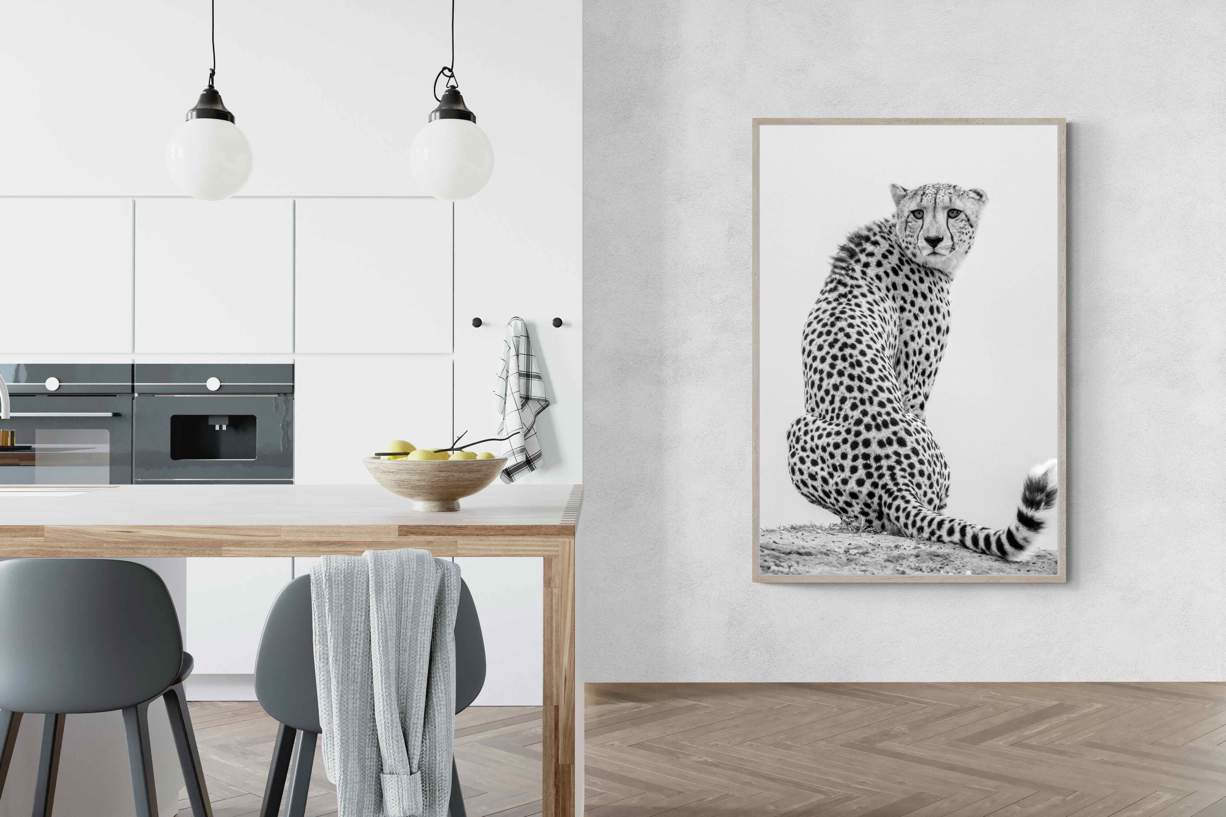 Pixalot Cheetah Glance