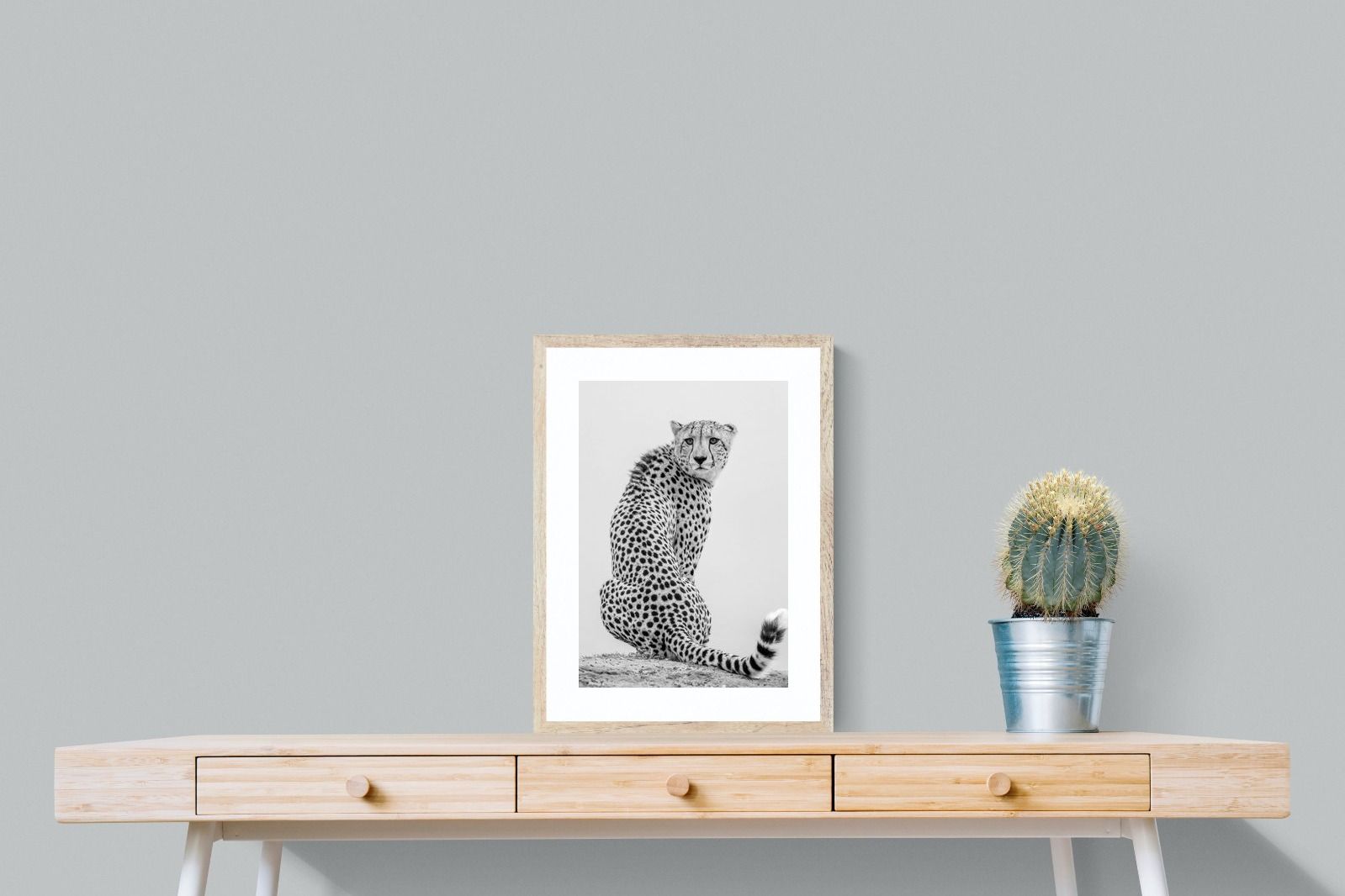 Pixalot Cheetah Glance