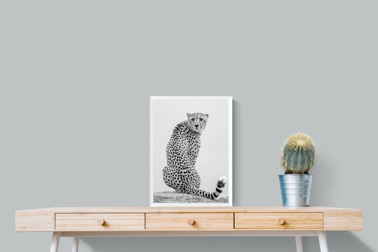 Pixalot Cheetah Glance