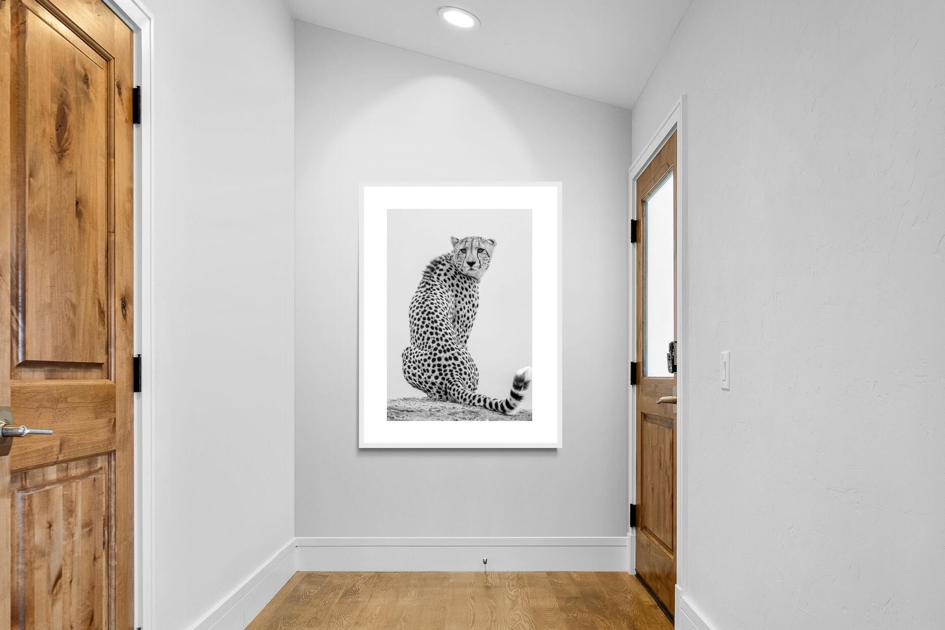 Pixalot Cheetah Glance