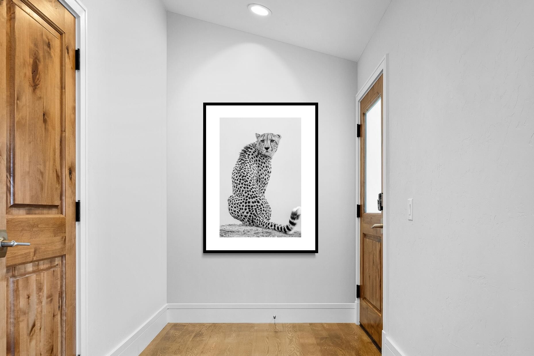 Pixalot Cheetah Glance