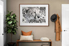 Pixalot Cheetah Glare