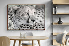 Pixalot Cheetah Glare